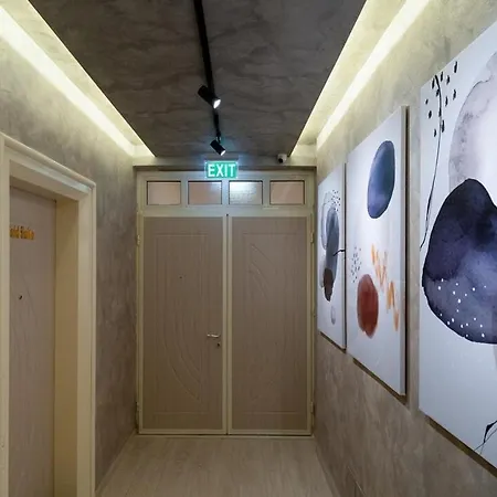 446 White Luxury Shkodër