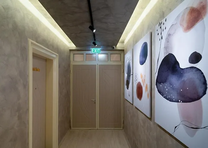 446 White Luxury שקודר